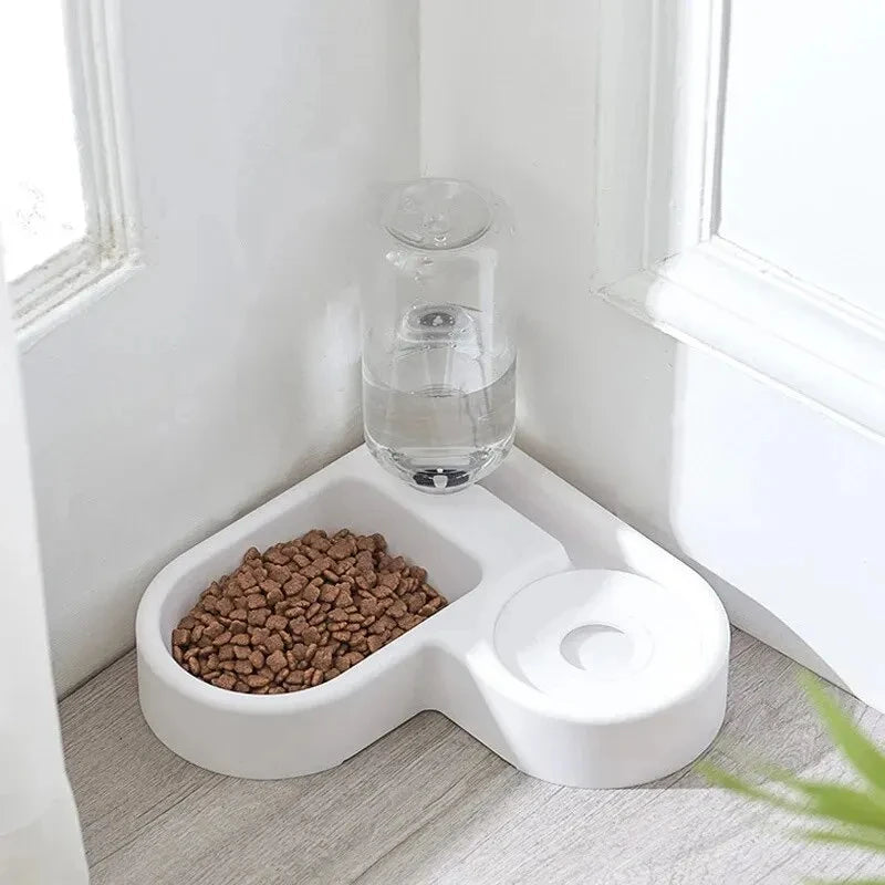 Pet Oasis Bowl